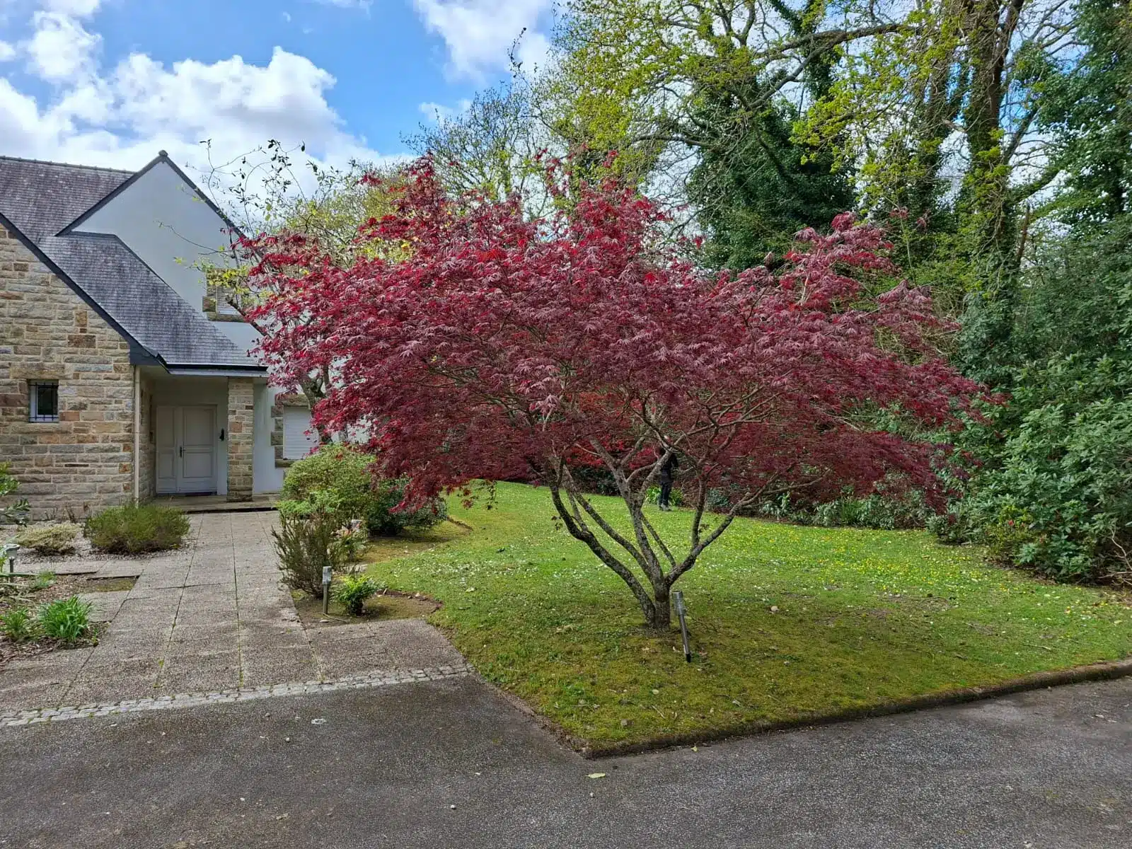 Entretien de jardin