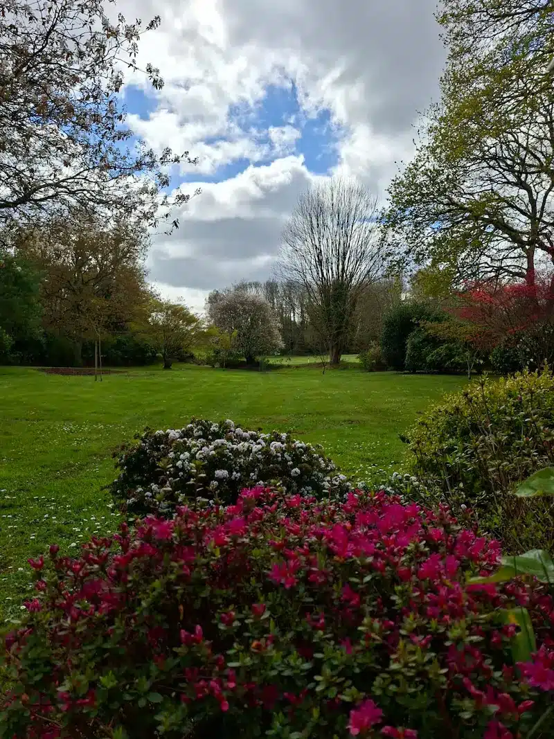 Jardin entretenu