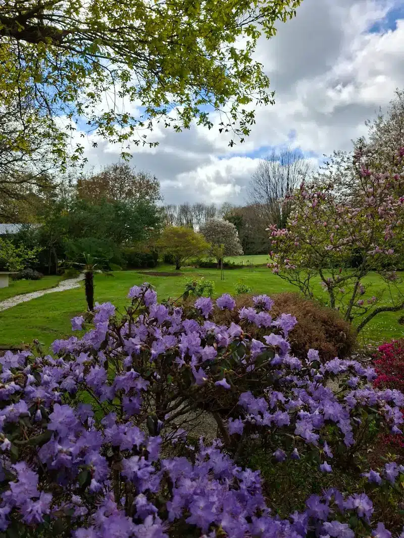 Beau jardin