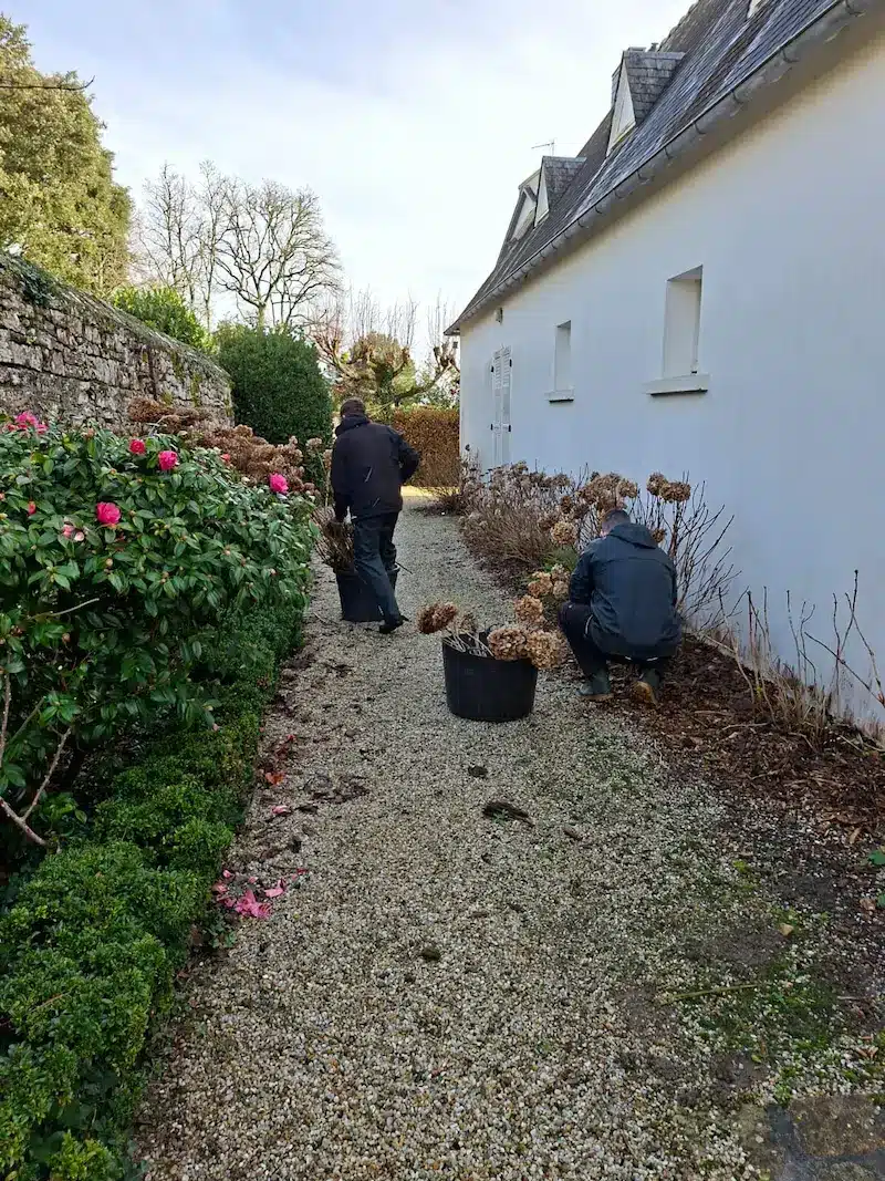 Jardin entretien par Côté Jardin