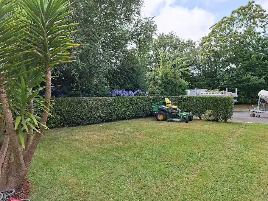 Entretien de jardin